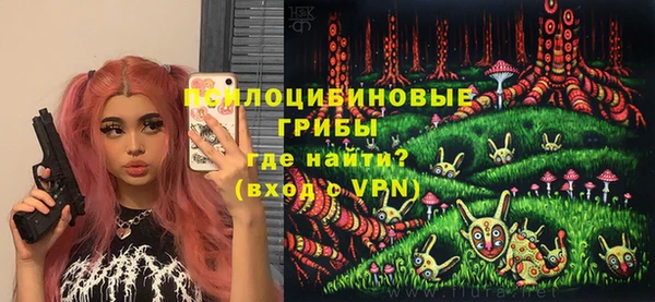 мдпв Абаза