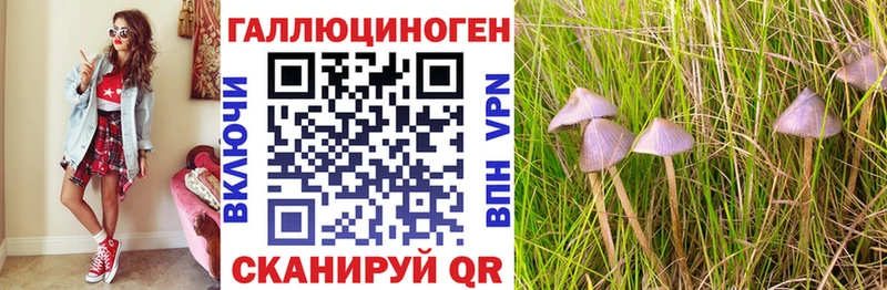 где можно купить наркотик  Подпорожье  Псилоцибиновые грибы Magic Shrooms 